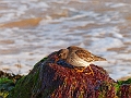 22 01 15_1056_edited-1